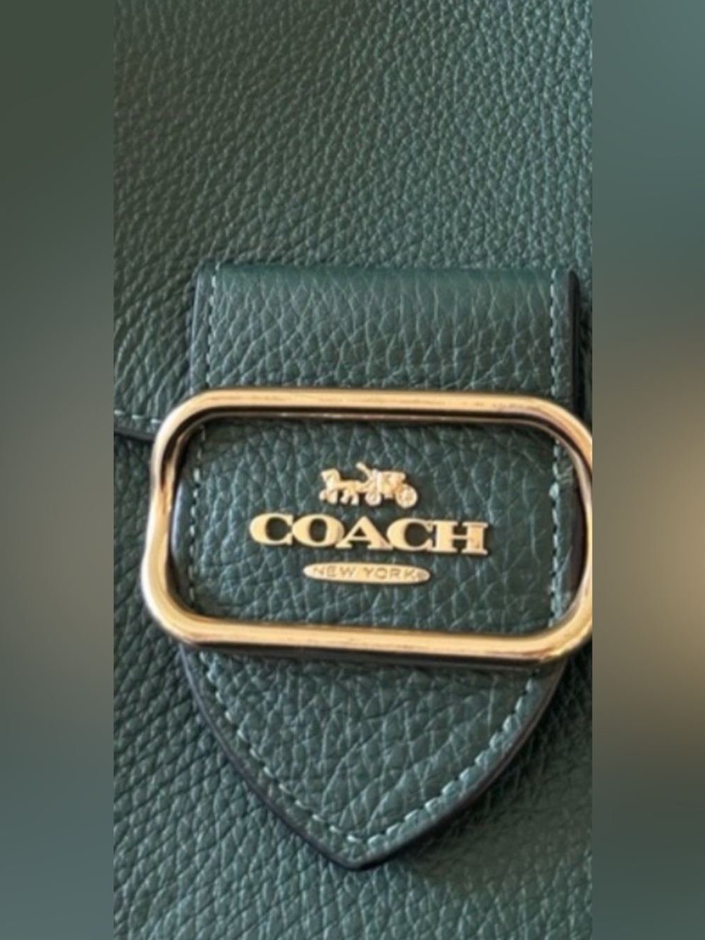 Coach Dark Green Pebbled Leather Saddle Crossbody with Gold Hardware - Picture 5 of 9